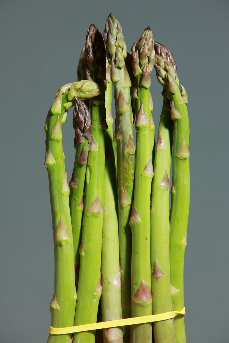 Fresh vegetables